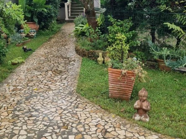 appartamento in affitto a Livorno