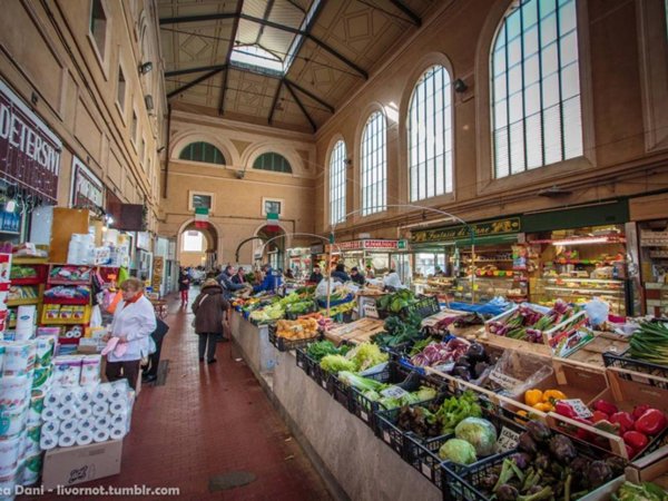 negozio in affitto a Livorno