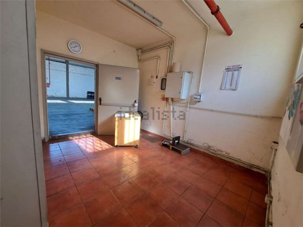 capannone in affitto a Livorno