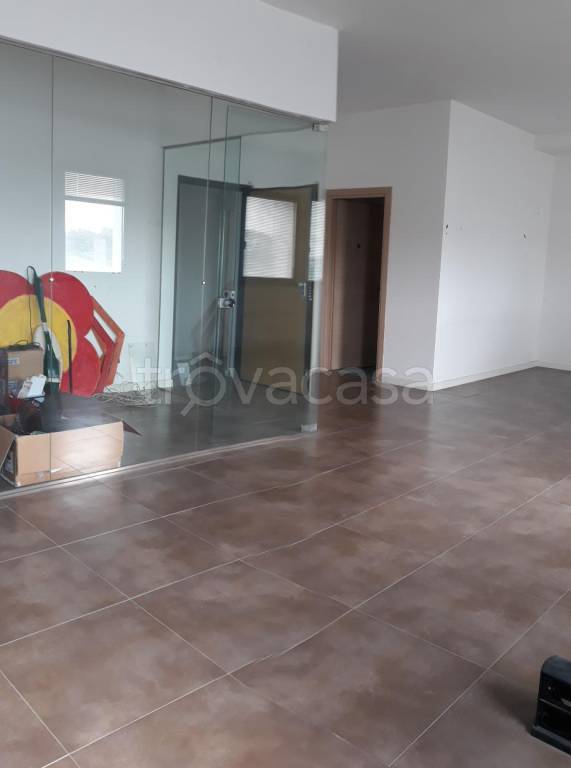 appartamento in affitto a Livorno