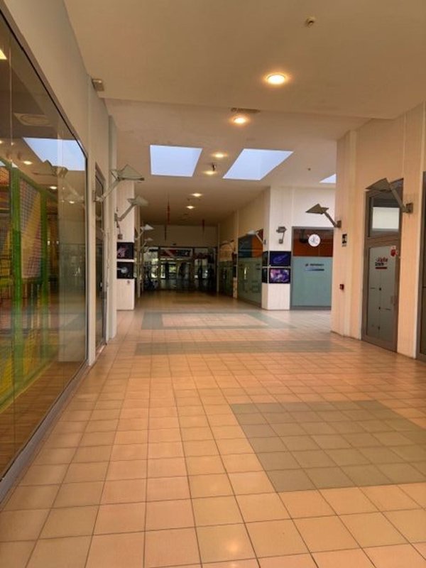 loft in affitto a Livorno in zona Ardenza