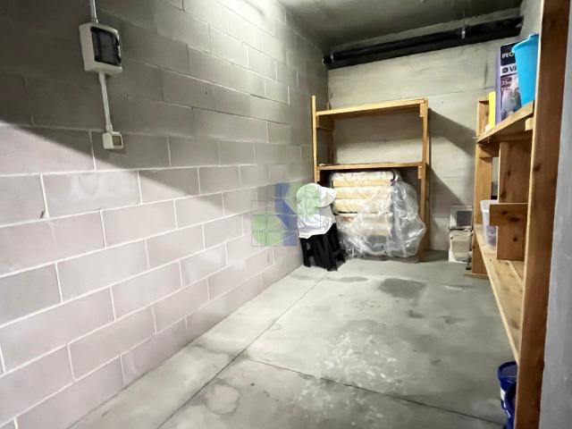 appartamento in affitto a Livorno