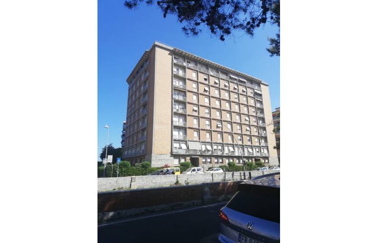 appartamento in affitto a Livorno