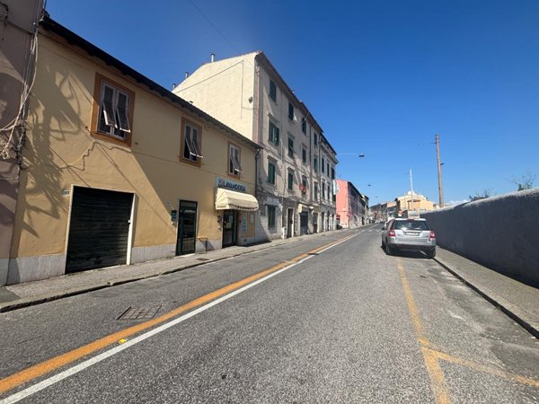 appartamento in affitto a Livorno