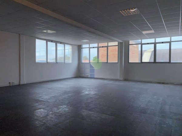 appartamento in affitto a Livorno