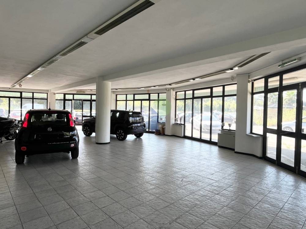 negozio in affitto a Livorno in zona Ardenza