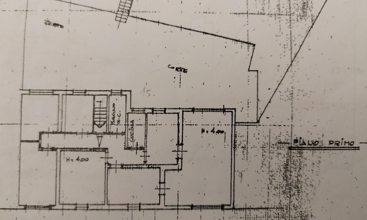 negozio in affitto a Piombino