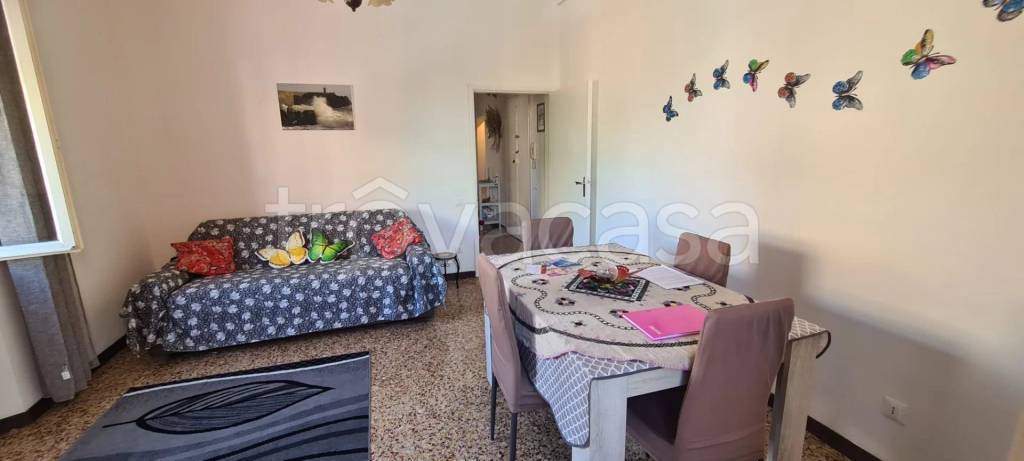 appartamento in affitto a Piombino
