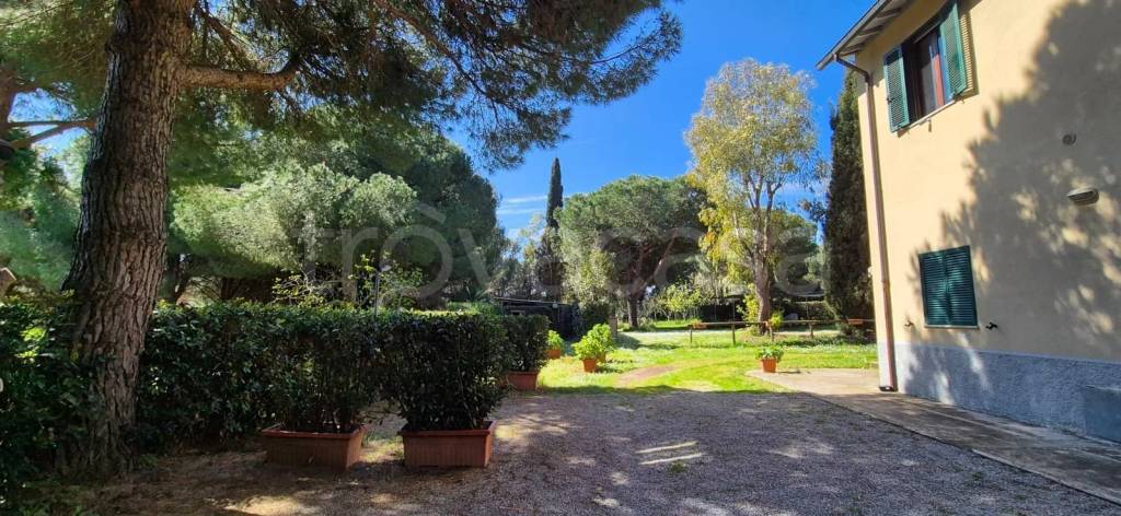appartamento in affitto a Piombino in zona Populonia
