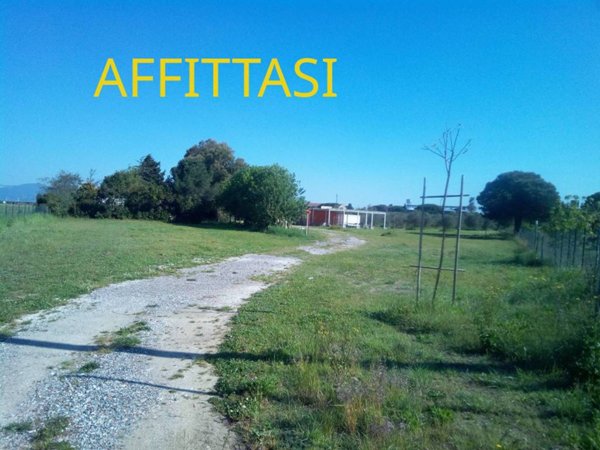 negozio in affitto a Piombino