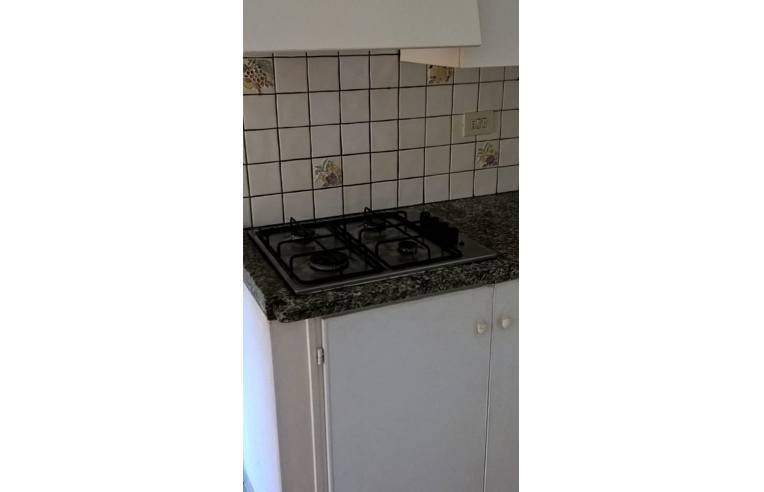 appartamento in affitto a Piombino