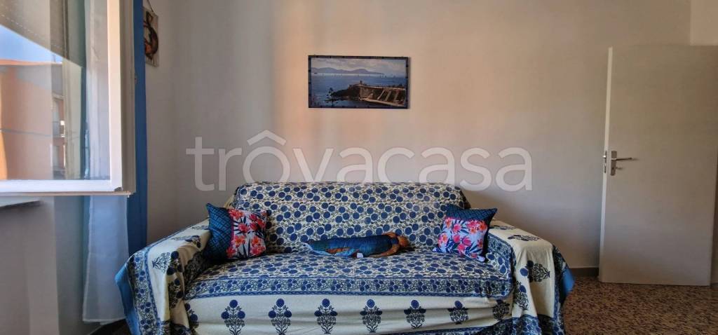 appartamento in affitto a Piombino