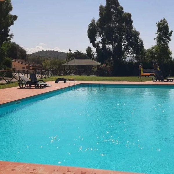 appartamento in affitto a Piombino