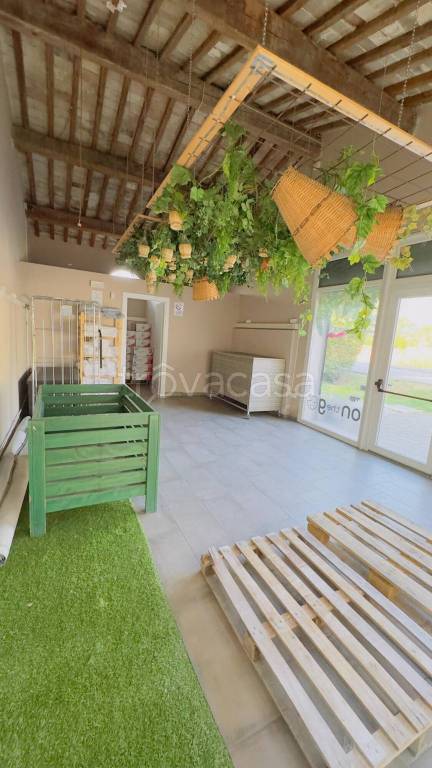 negozio in affitto a Piombino in zona Gagno