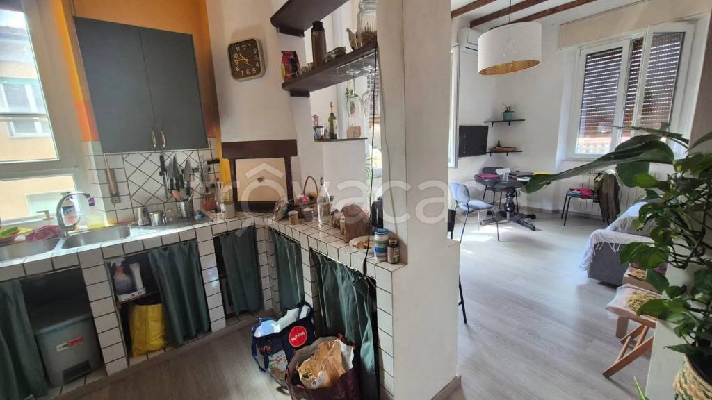 appartamento in affitto a Piombino