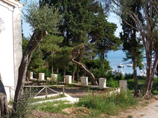 appartamento in affitto a Piombino