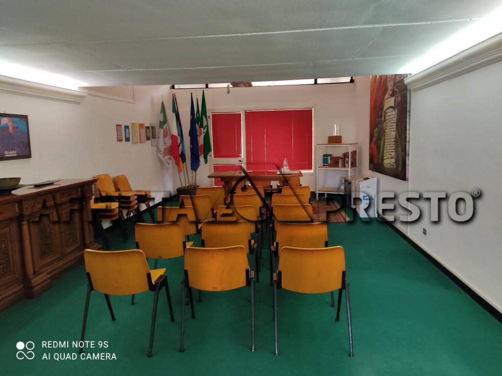 appartamento in affitto a Rosignano Marittimo in zona Castiglioncello