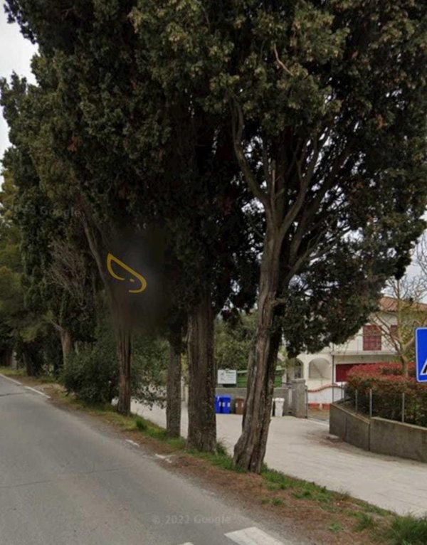 appartamento in affitto a Rosignano Marittimo