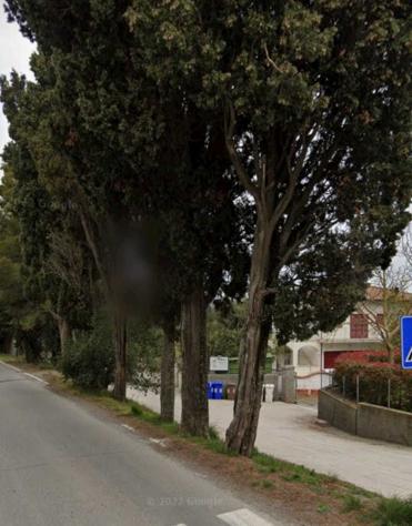 locale commerciale in affitto a Rosignano Marittimo