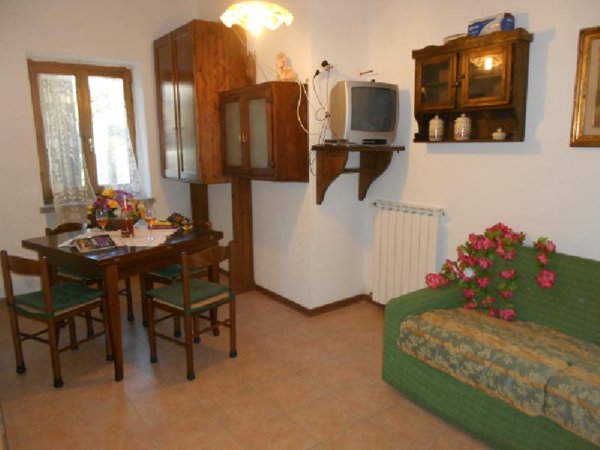appartamento in affitto a Rosignano Marittimo