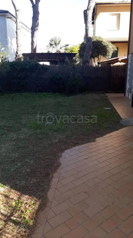 appartamento in affitto a Rosignano Marittimo in zona Vada