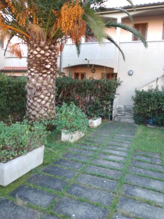 appartamento in affitto a Rosignano Marittimo in zona La Mazzanta