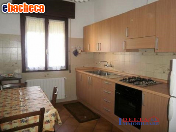 appartamento in affitto a Rosignano Marittimo