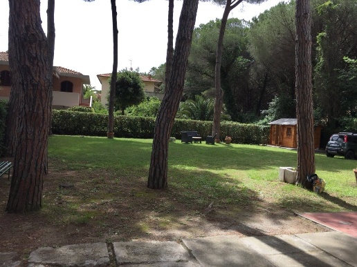 appartamento in affitto a Rosignano Marittimo in zona La Mazzanta