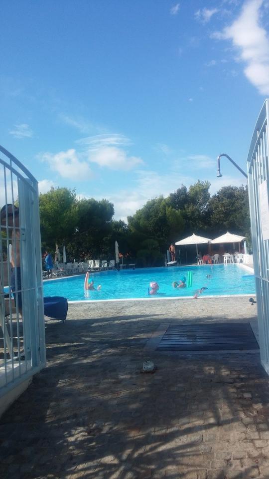appartamento in affitto a Rosignano Marittimo in zona Castiglioncello