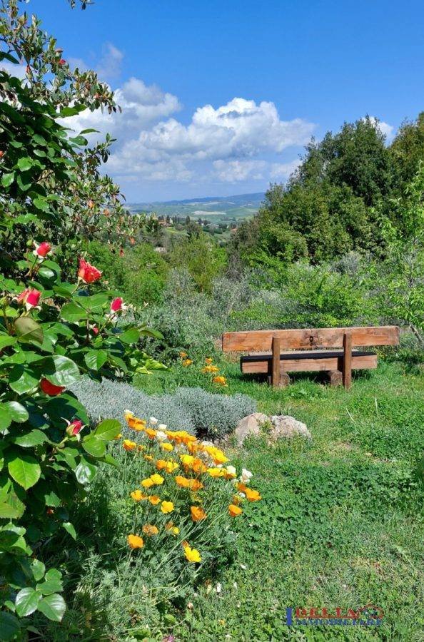 appartamento in affitto a Rosignano Marittimo