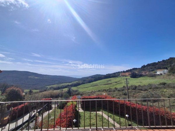 appartamento in affitto a Rosignano Marittimo in zona Nibbiaia