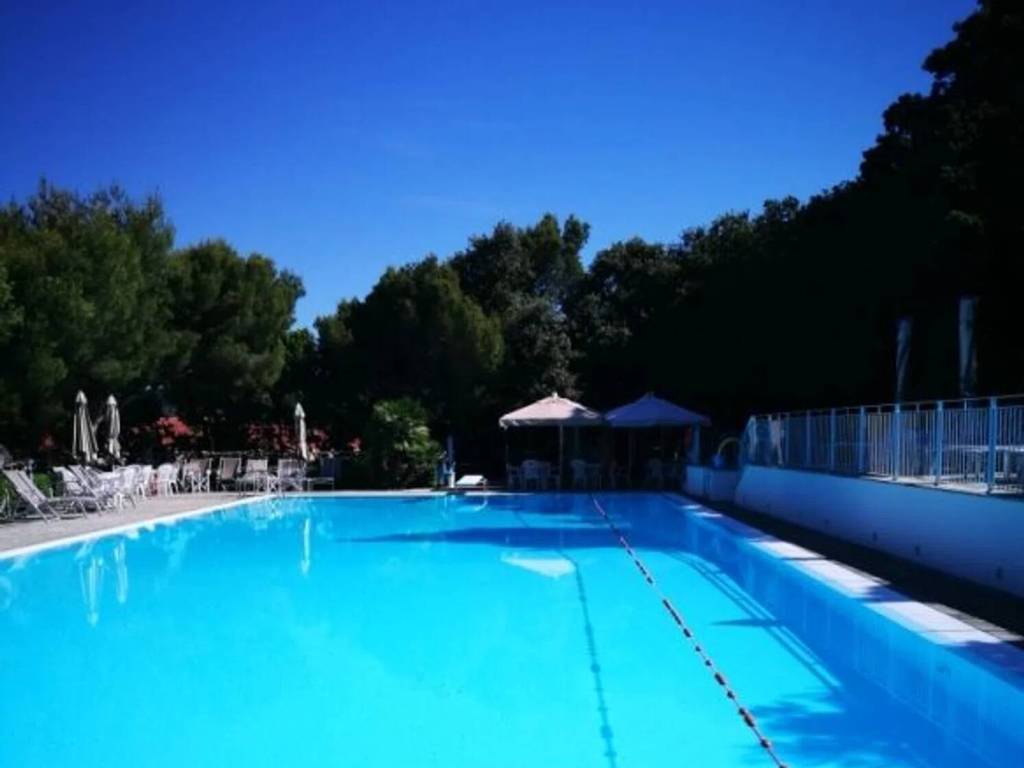 appartamento in affitto a Rosignano Marittimo in zona Castiglioncello