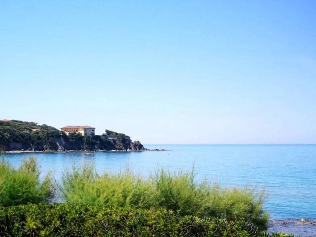 casa indipendente in affitto a Rosignano Marittimo in zona Castiglioncello