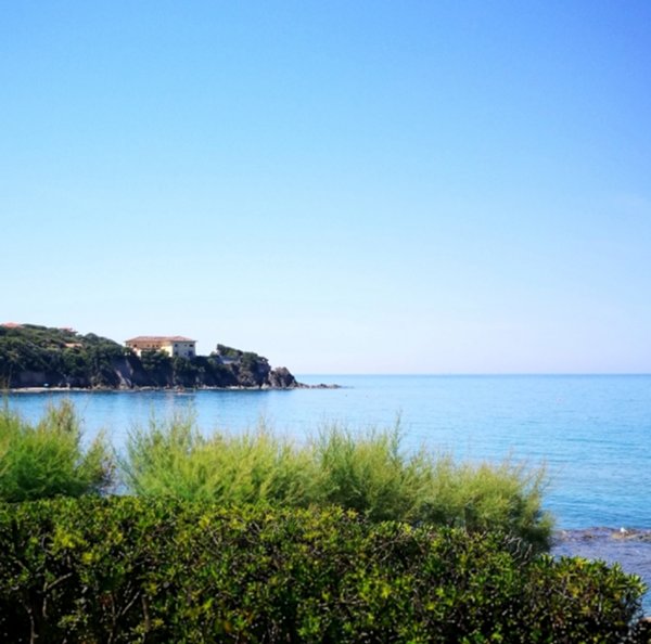 appartamento in affitto a Rosignano Marittimo in zona Castiglioncello