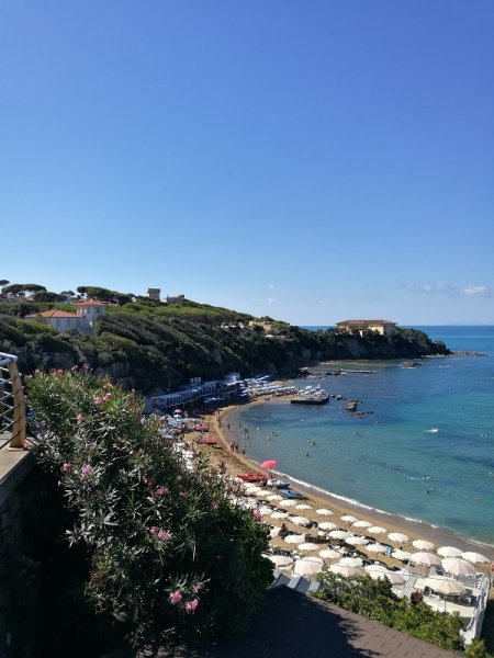 appartamento in affitto a Rosignano Marittimo in zona Castiglioncello
