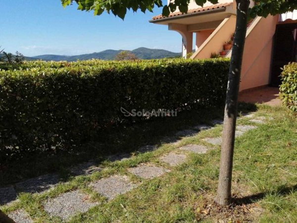 appartamento in affitto a Rosignano Marittimo in zona Nibbiaia
