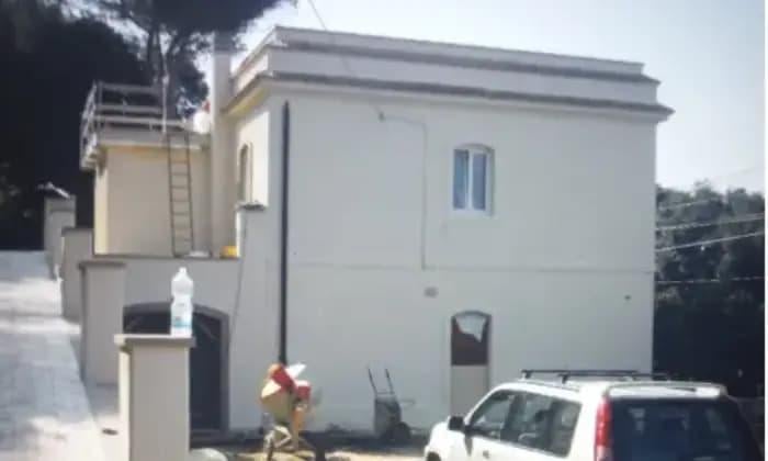 appartamento in affitto a Rosignano Marittimo in zona Castiglioncello