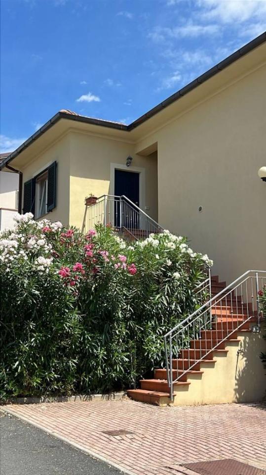 appartamento in affitto a Rosignano Marittimo in zona Castiglioncello