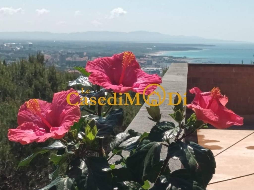 appartamento in affitto a Rosignano Marittimo in zona Castiglioncello