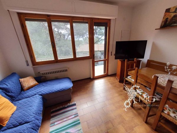 appartamento in affitto a Rosignano Marittimo in zona Castiglioncello