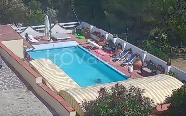 casa indipendente in affitto a Rosignano Marittimo in zona Castiglioncello