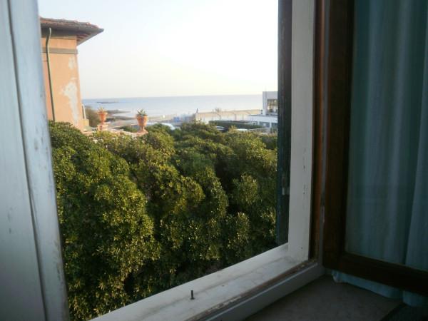 appartamento in affitto a Rosignano Marittimo