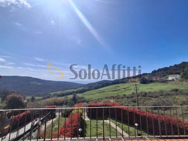 appartamento in affitto a Rosignano Marittimo in zona Nibbiaia