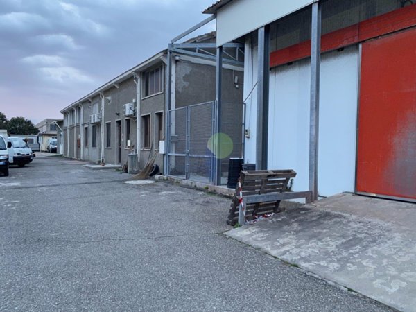 appartamento in affitto a Rosignano Marittimo in zona Rosignano Solvay