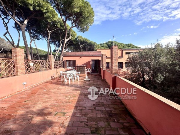 appartamento in affitto a Rosignano Marittimo in zona Castiglioncello