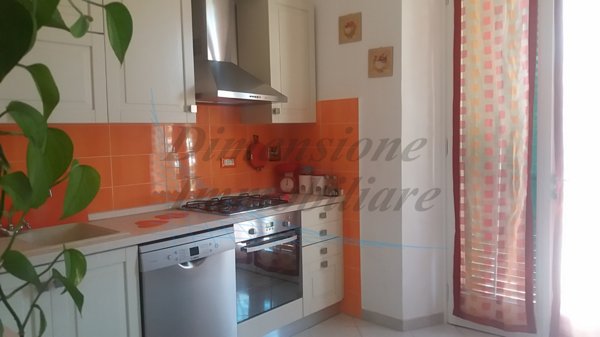 appartamento in affitto a Rosignano Marittimo in zona Vada