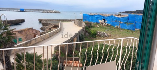 appartamento in affitto a Rosignano Marittimo in zona Castiglioncello