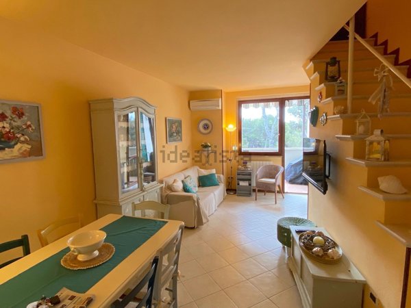 appartamento in affitto a Rosignano Marittimo