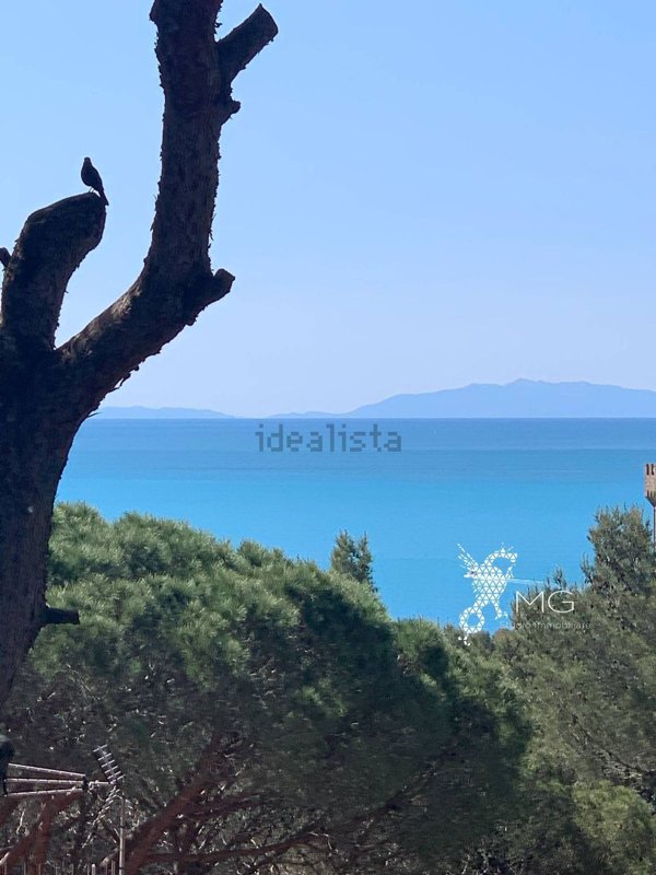 appartamento in affitto a Rosignano Marittimo in zona Castiglioncello