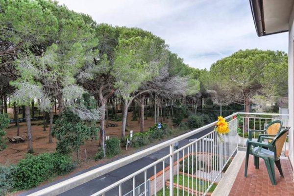 appartamento in affitto a Rosignano Marittimo in zona La Mazzanta